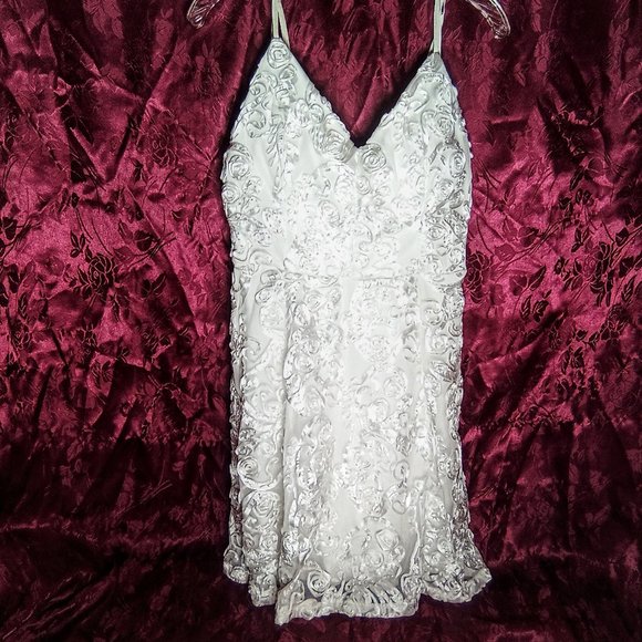 Winter White Lace Formal - Picture 2 of 12